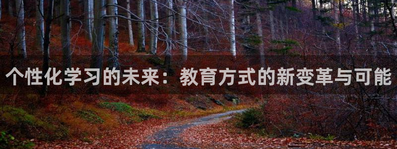 新航娱乐官方网站入口：个性化学习的未来：教育方式的新变革与可