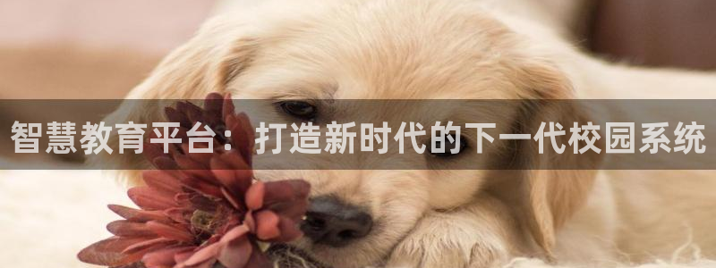 新航机上娱乐：智慧教育平台：打造新时代的下一代校园系统