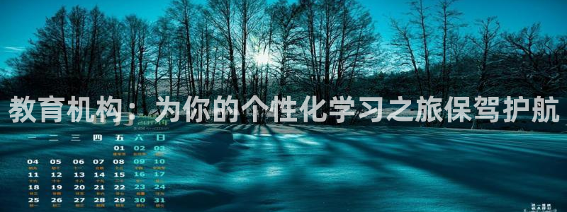 新航娱乐网址：教育机构：为你的个性化学习之旅保驾护航