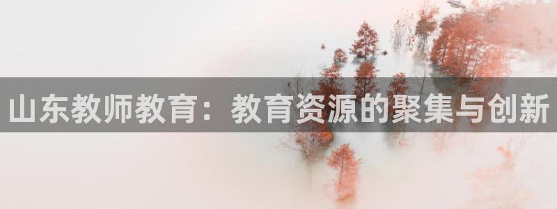 新航娱乐登录入口：山东教师教育：教育资源的聚集与创新