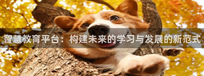 开启娱乐新航线