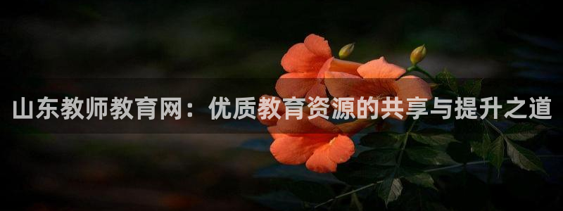 新航娱乐登录网站：山东教师教育网：优质教育资源的共享与提升之