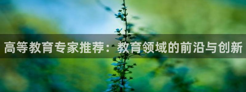 新航娱乐公司怎么样