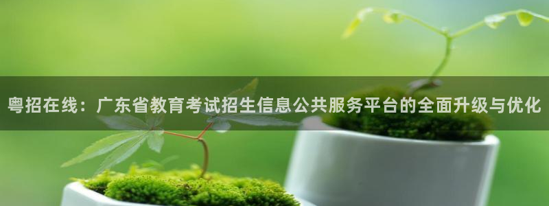 新航娱乐入新航娱乐怎么样：粤招在线：广东省教育考试招生信息公