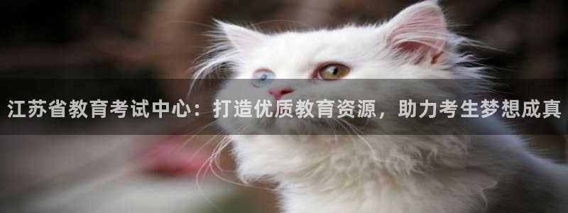 新航娱乐登录大厅：江苏省教育考试中心：打造优质教育资源，助力