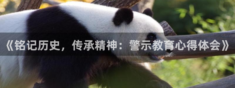 新航sq806娱乐系统：《铭记历史，传承精神：警示教育心得体