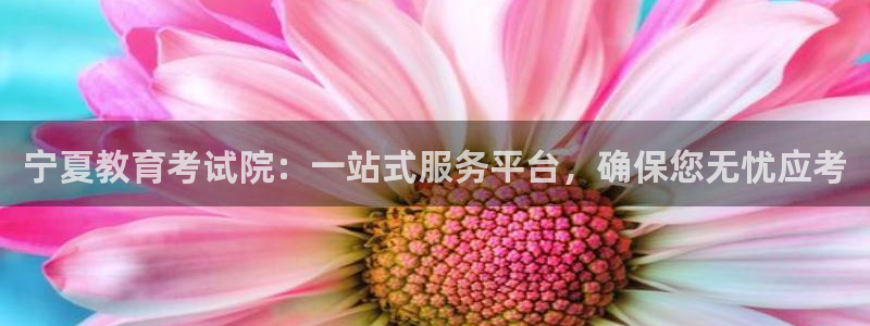新航足浴娱乐会所：宁夏教育考试院：一站式服务平台，确保您无忧