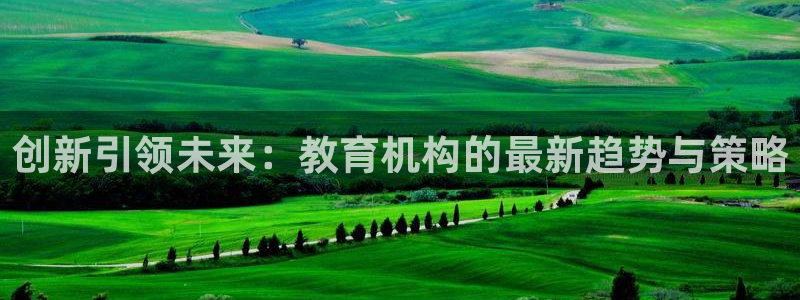 新航娱乐传媒招聘电话：创新引领未来：教育机构的最新趋势与策略