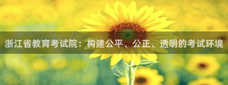 高州市新航线娱乐俱乐部：浙江省教育考试院：构建公平、公正、透