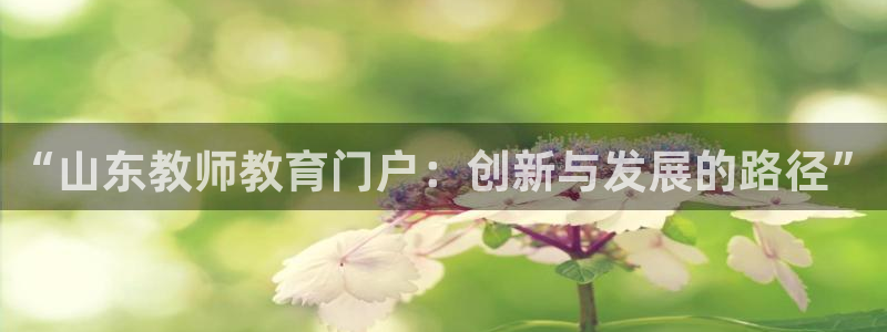新航娱乐客服电话：“山东教师教育门户：创新与发展的路径”