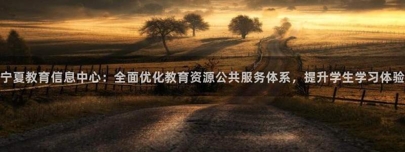 新航线娱乐：宁夏教育信息中心：全面优化教育资源公共服务体系，