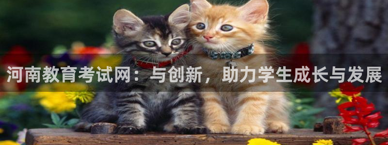 新航娱乐是正规平台吗：河南教育考试网：与创新，助力学生成长与