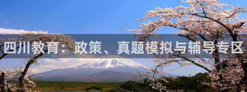 新航娱乐平台app下载：四川教育：政策、真题模拟与辅导专区