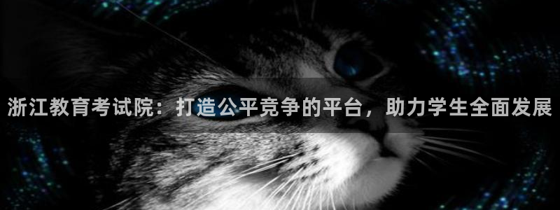 新航娱乐系统设置：浙江教育考试院：打造公平竞争的平台，助力学