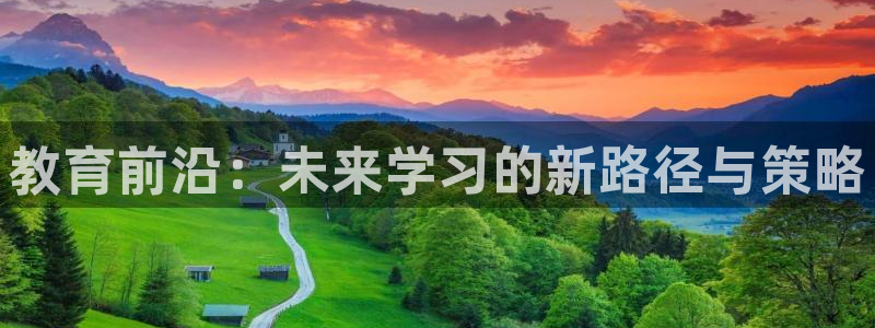 新航娱乐公司简介图片：教育前沿：未来学习的新路径与策略
