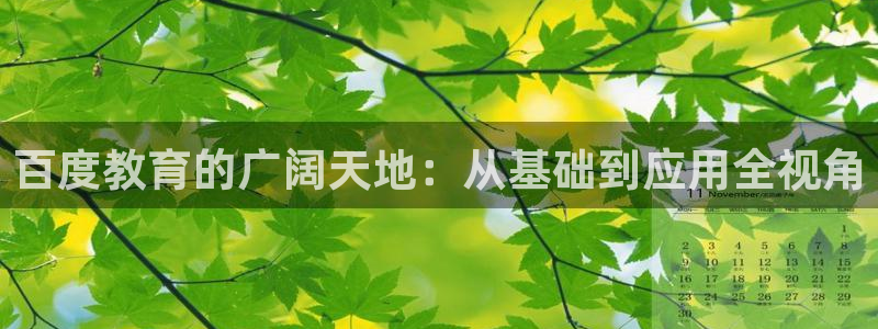 中国证券新航娱乐官网：百度教育的广阔天地：从基础到应用全视角