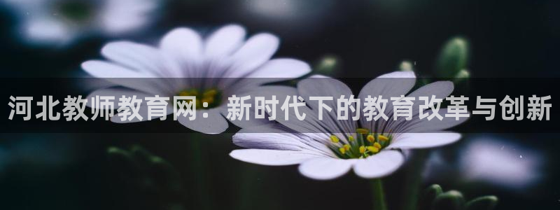 新航海大酒店娱乐城：河北教师教育网：新时代下的教育改革与创新