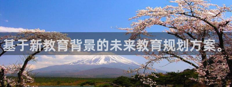 辽宁新航文化娱乐传媒：基于新教育背景的未来教育规划方案。