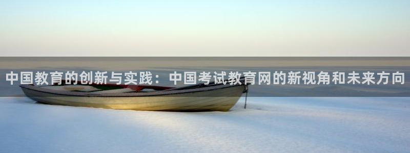新航娱乐传媒：中国教育的创新与实践：中国考试教育网的新视角和
