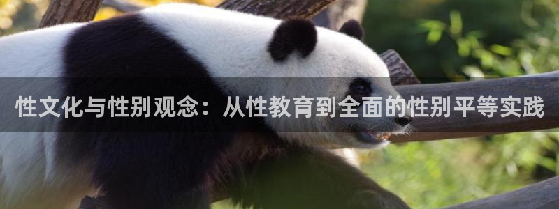 新航海娱乐会所：性文化与性别观念：从性教育到全面的性别平等实
