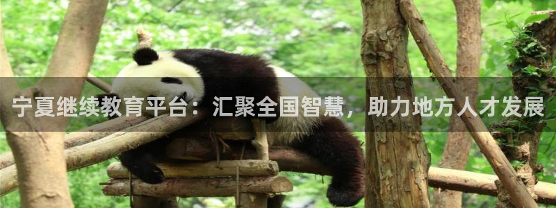 新航娱乐平台app下载：宁夏继续教育平台：汇聚全国智慧，助力