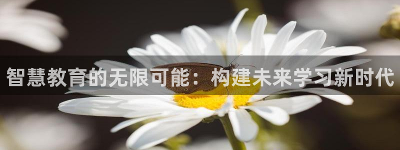 新航娱乐传媒招聘信息：智慧教育的无限可能：构建未来学习新时代