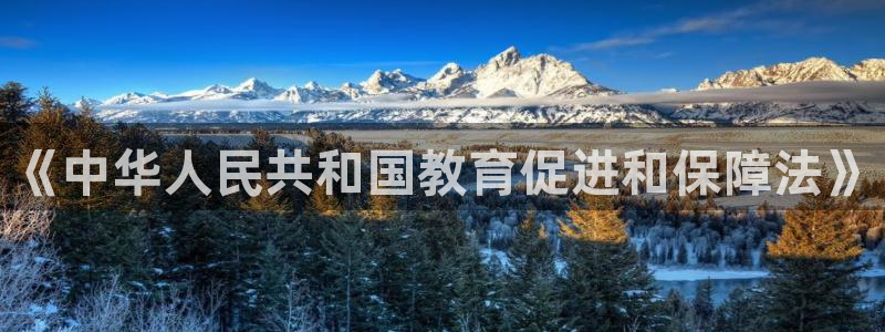 娱乐界的新航母：《中华人民共和国教育促进和保障法》
