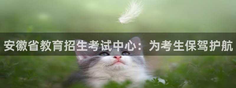 新航娱乐有限公司：安徽省教育招生考试中心：为考生保驾护航