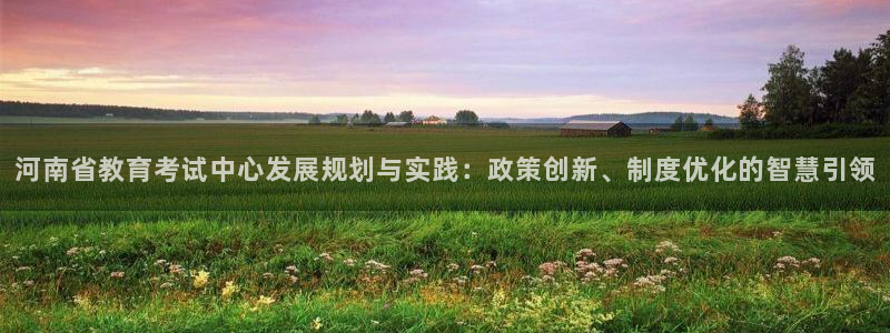 新航文化娱乐传媒：河南省教育考试中心发展规划与实践：政策创新