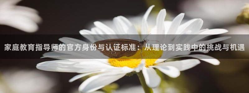 新航娱乐招商Q：家庭教育指导师的官方身份与认证标准：从理论到