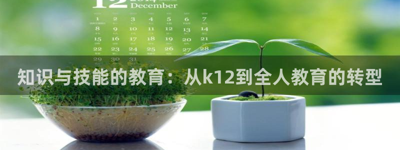 新航国际娱乐：知识与技能的教育：从k12到全人教育的转型