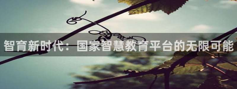 新航娱乐有方法开挂吗：智育新时代：国家智慧教育平台的无限可能