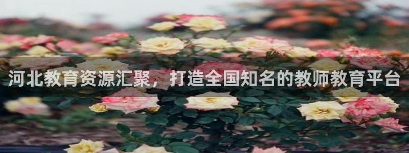 新航娱乐扣款详情：河北教育资源汇聚，打造全国知名的教师教育平
