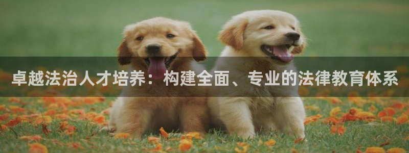 中国新航娱乐平台官网：卓越法治人才培养：构建全面、专业的法律