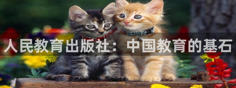 餐饮娱乐新航向：人民教育出版社：中国教育的基石