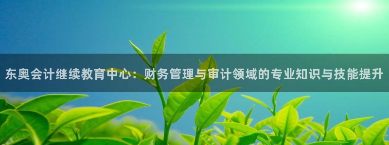新航娱乐的创始人简介：东奥会计继续教育中心：财务管理与审计领