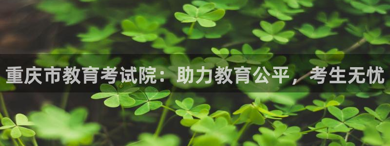 兰山新航线娱乐会所：重庆市教育考试院：助力教育公平，考生无忧