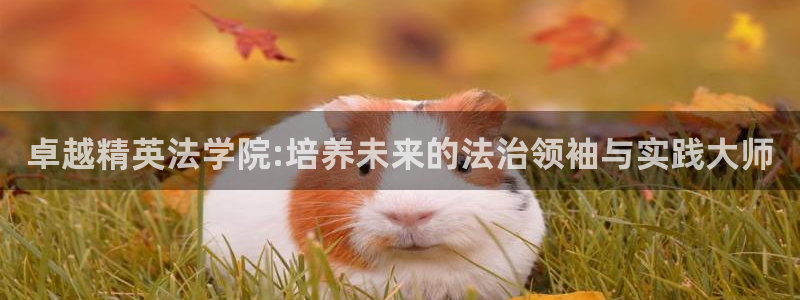 新航娱乐最新消息：卓越精英法学院:培养未来的法治领袖与实践大