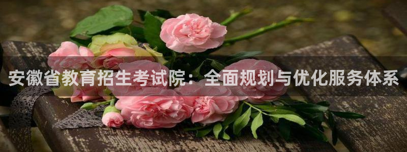 新航娱乐传媒怎么样：安徽省教育招生考试院：全面规划与优化服务