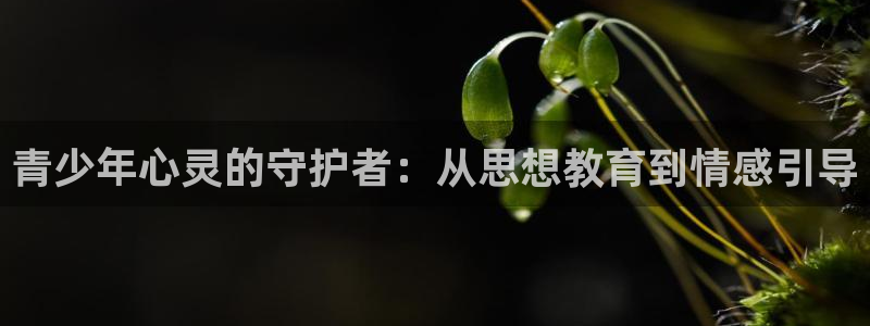 新航海娱乐会所地址电话：青少年心灵的守护者：从思想教育到情感
