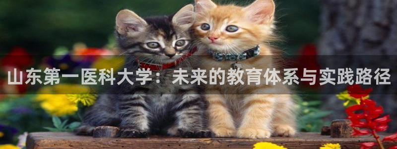 新航娱乐招商