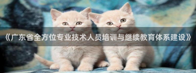 南京新航娱乐会所地址