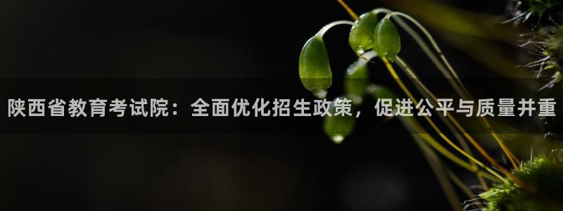 新航娱乐开户：陕西省教育考试院：全面优化招生政策，促进公平与