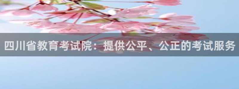 新航娱乐的创始人简介：四川省教育考试院：提供公平、公正的考试