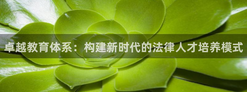 新航娱乐最高返点多少：卓越教育体系：构建新时代的法律人才培养