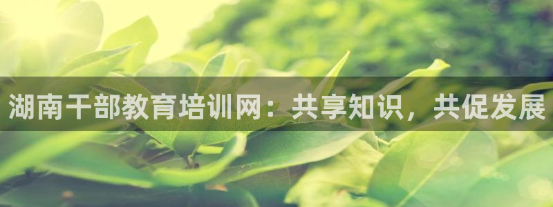 新航娱乐app下载安卓：湖南干部教育培训网：共享知识，共促发
