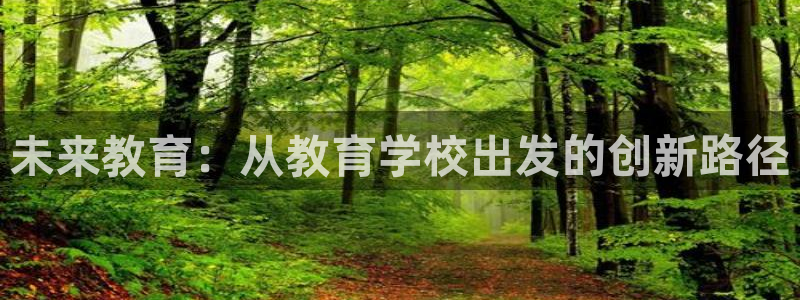 新航sq806娱乐系统：未来教育：从教育学校出发的创新路径
